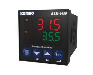 Process Controller ESM-4450